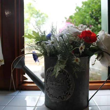 Casa Lapilli *