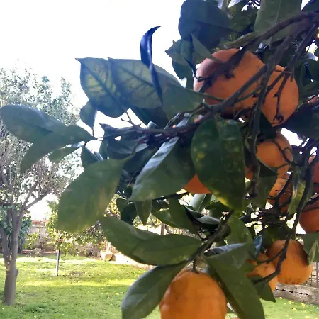 Casa Lapilli